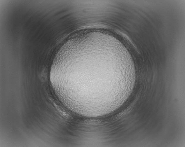 X0000073850833200609071605