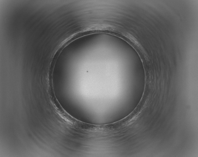 X0000073850834200609071605