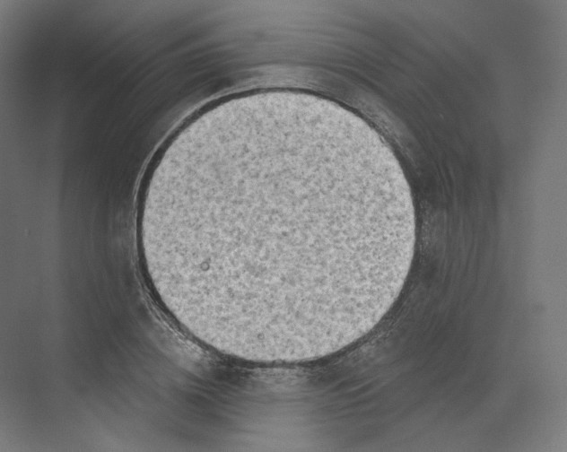 X0000073850836200609071605