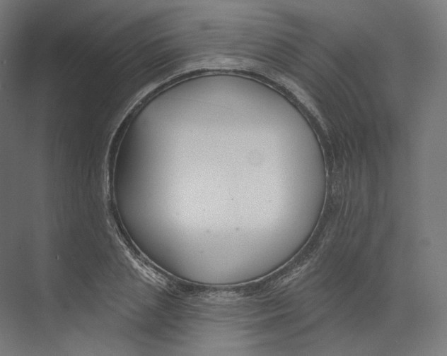 X0000073850837200609071605