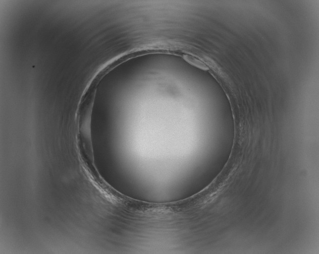 X0000073850838200609071605