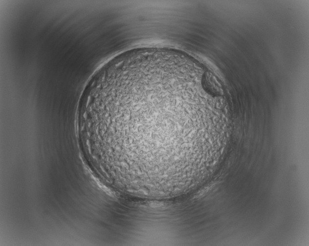 X0000073850839200609071605