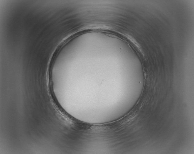 X0000073850840200609071605