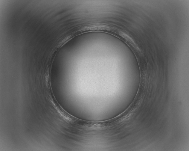 X0000073850841200609071605