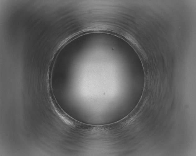 X0000073850842200609071605