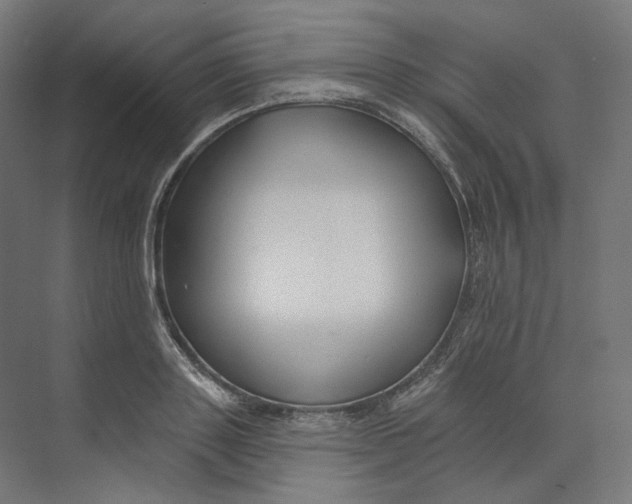 X0000073850843200609071605