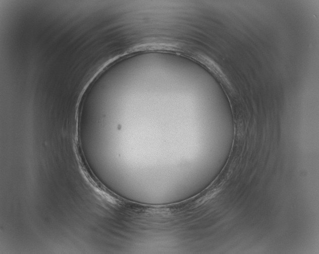 X0000073850844200609071605