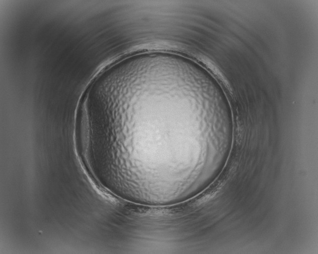 X0000073850845200609071605