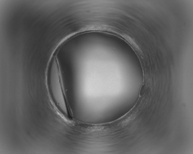 X0000073850846200609071605