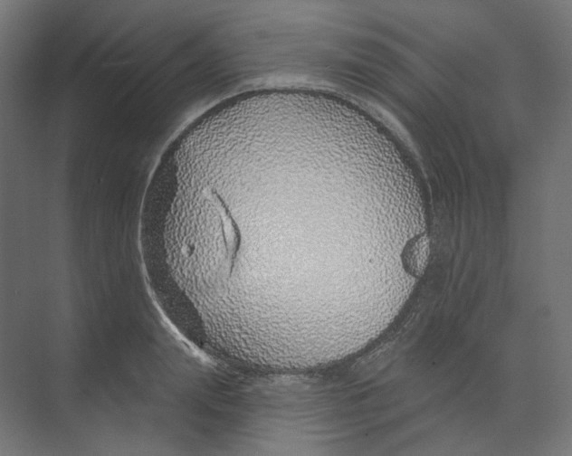 X0000073850847200609071605