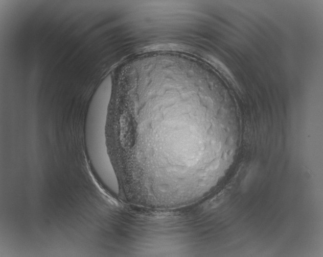 X0000073850849200609071605