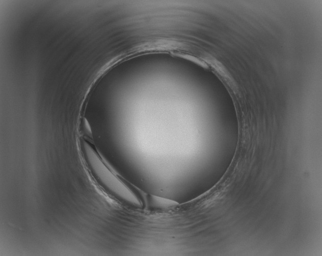 X0000073850850200609071605