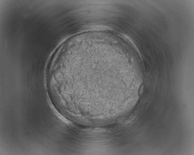 X0000073850851200609071605