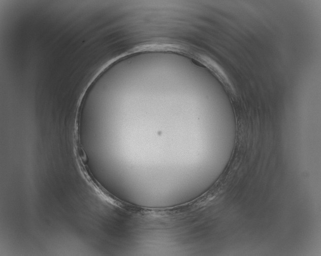 X0000073850852200609071605