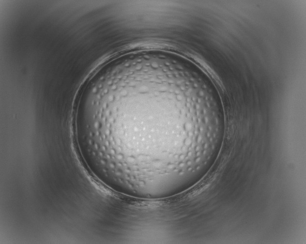 X0000073850853200609071605