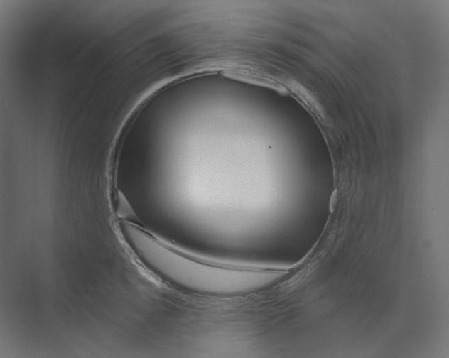 X0000073850854200609071605