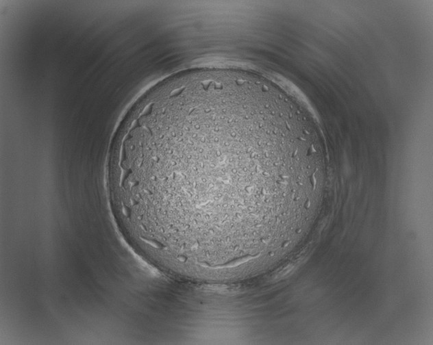 X0000073850855200609071605