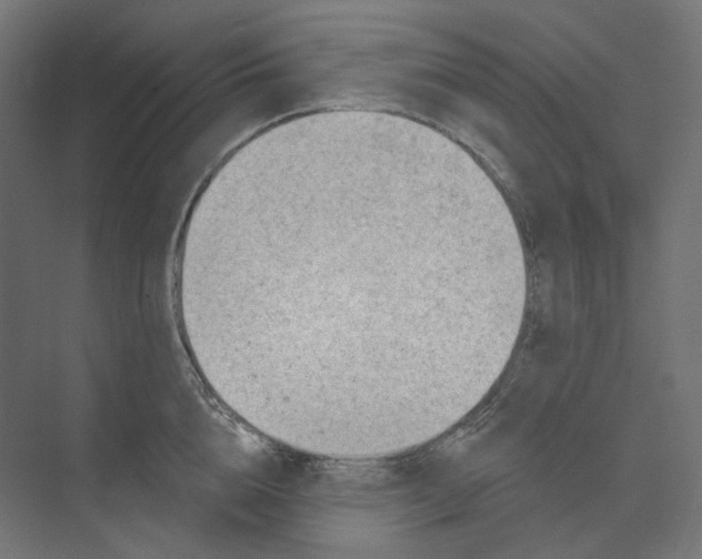 X0000073850856200609071605