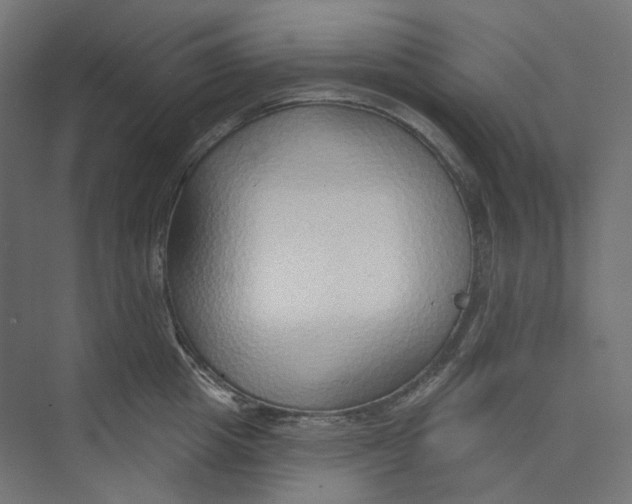 X0000073850857200609071605