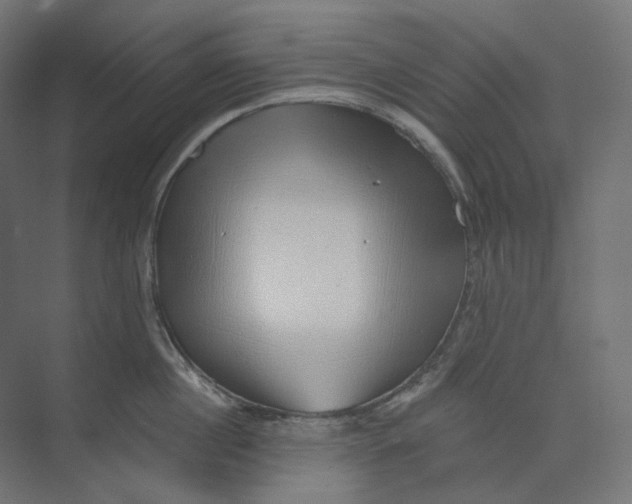 X0000073850860200609071605