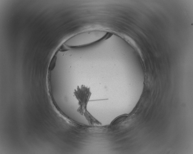 X0000073850863200609071605