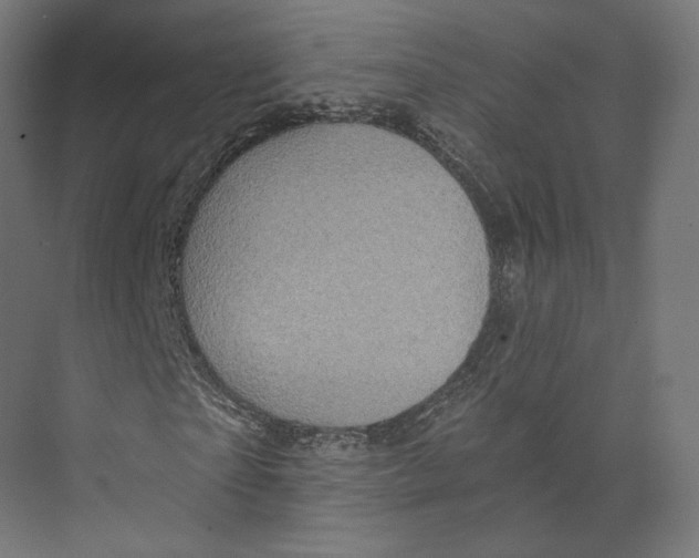 X0000073850865200609071604