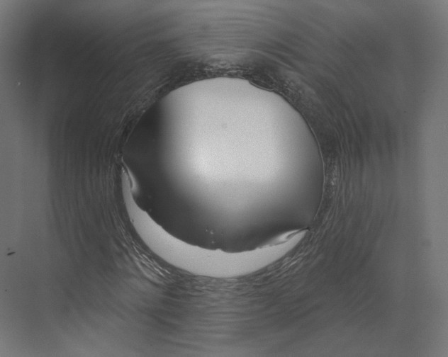 X0000073850868200609071604