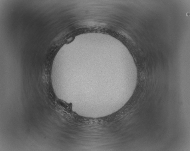 X0000073850869200609071604