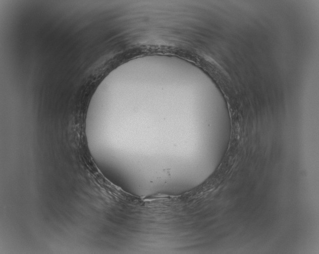 X0000073850870200609071604