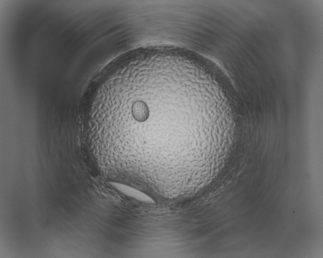 X0000073850871200609071604