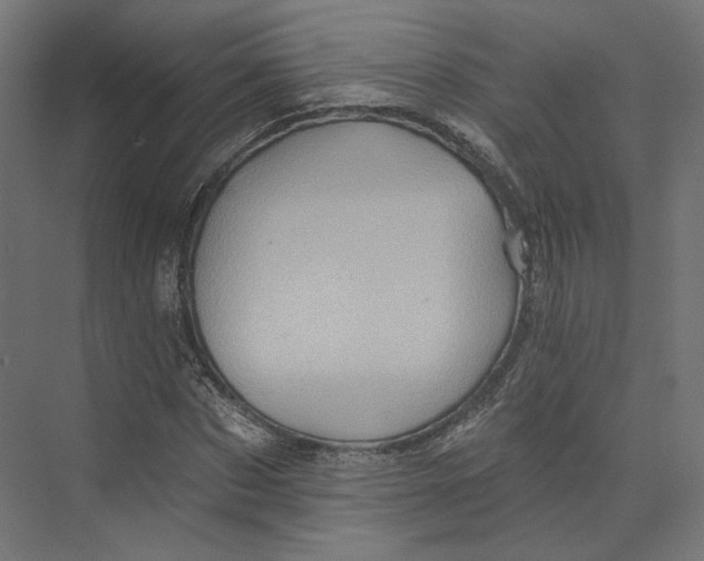 X0000073850873200609071604