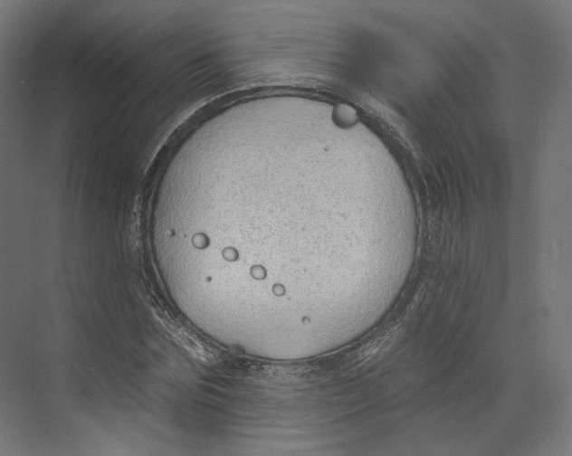 X0000073850875200609071604