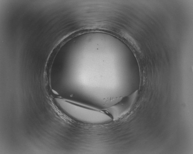 X0000073850876200609071604