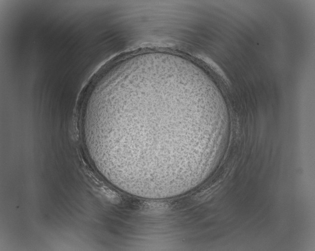 X0000073850878200609071604