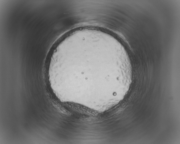 X0000073850879200609071604