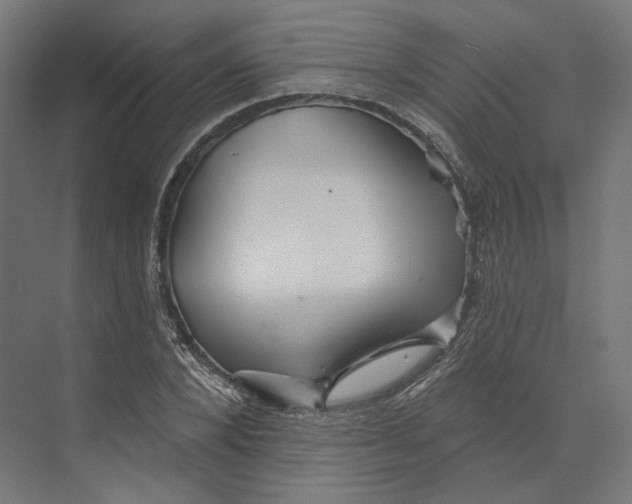 X0000073850880200609071604