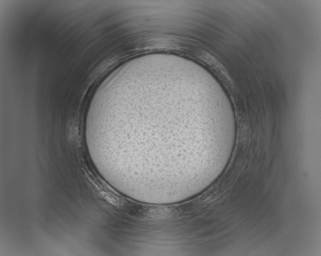 X0000073850882200609071604