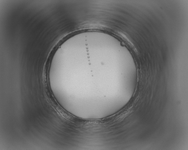 X0000073850883200609071604