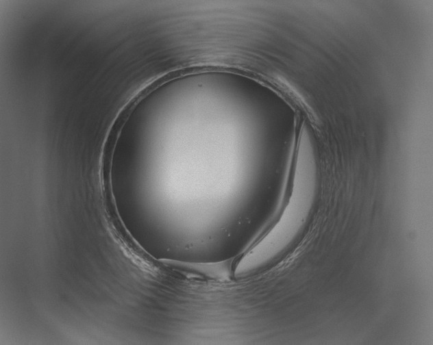 X0000073850884200609071604