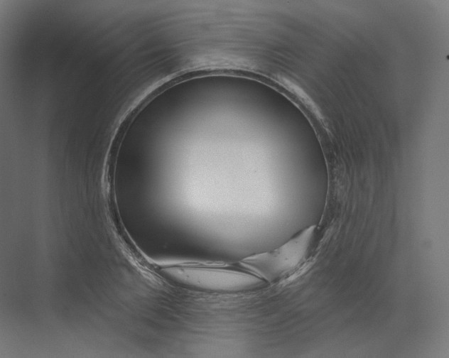 X0000073850885200609071604