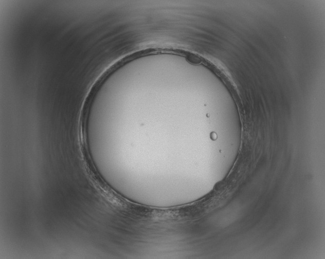 X0000073850887200609071604