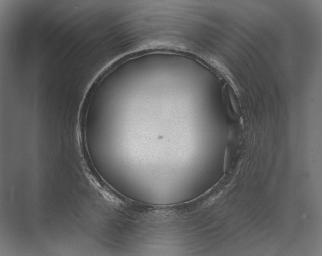 X0000073850888200609071604