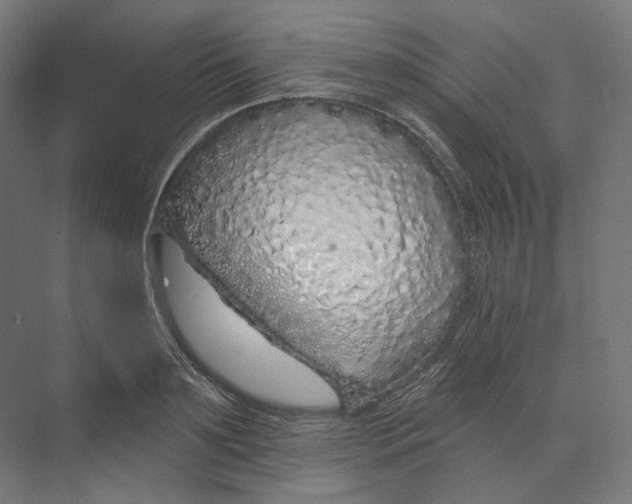 X0000073850891200609071604