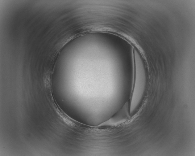 X0000073850897200609071604