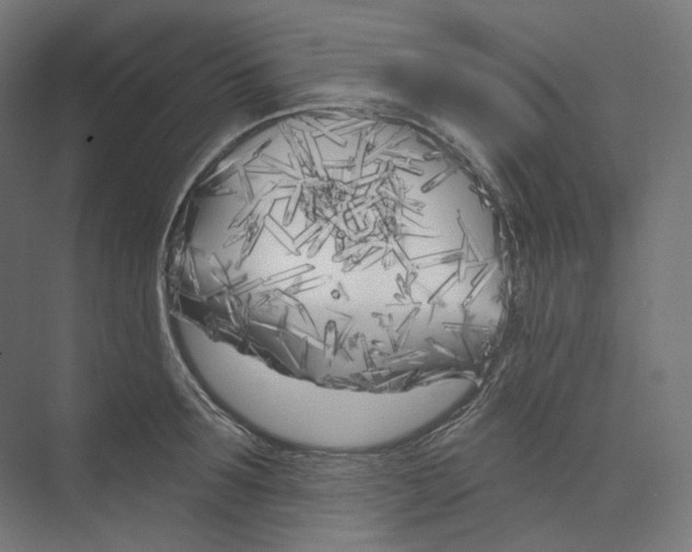 X0000073850899200609071604