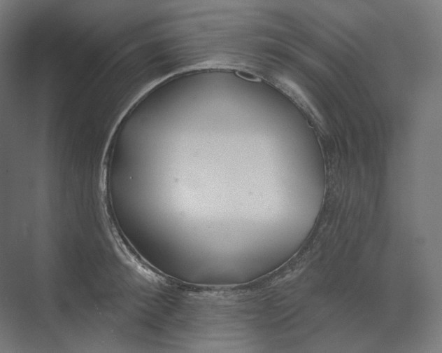 X0000073850900200609071604