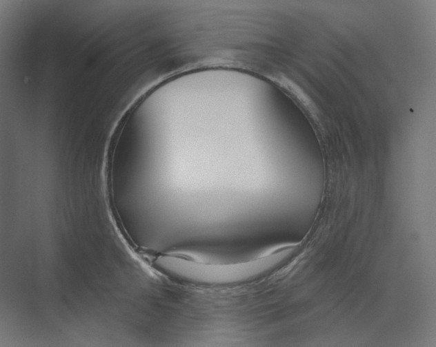 X0000073850902200609071604