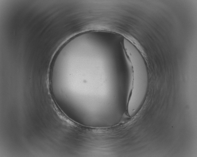 X0000073850904200609071604