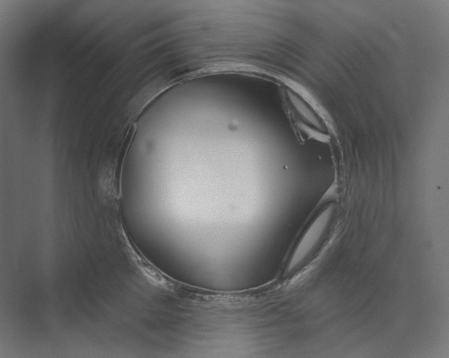 X0000073850905200609071604