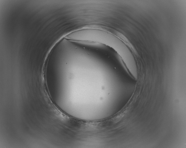 X0000073850908200609071604